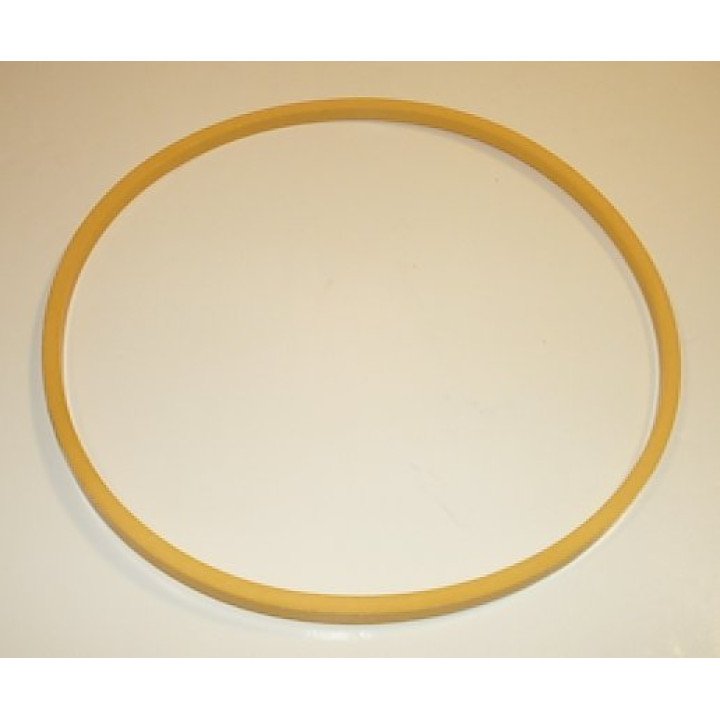 20V/VQ TEFLON SEALING RING  419672N