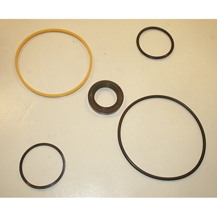 20V BUNA SEAL KIT  497125N
