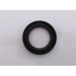25/2520V/VQ BUNA SHAFT SEAL 394976N