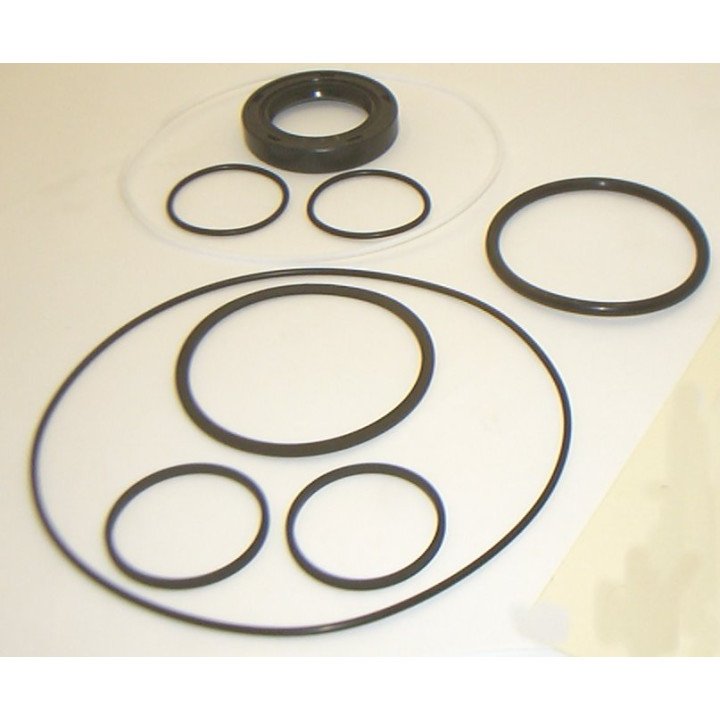 25M/26M MOTOR BUNA SEAL KIT