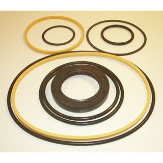 3520V VITON SEAL KIT  919304N