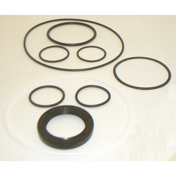 35M MOTOR BUNA SEAL KIT