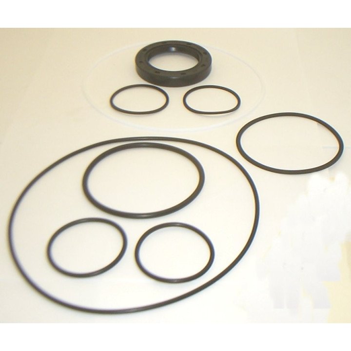 45M MOTOR BUNA SEAL KIT