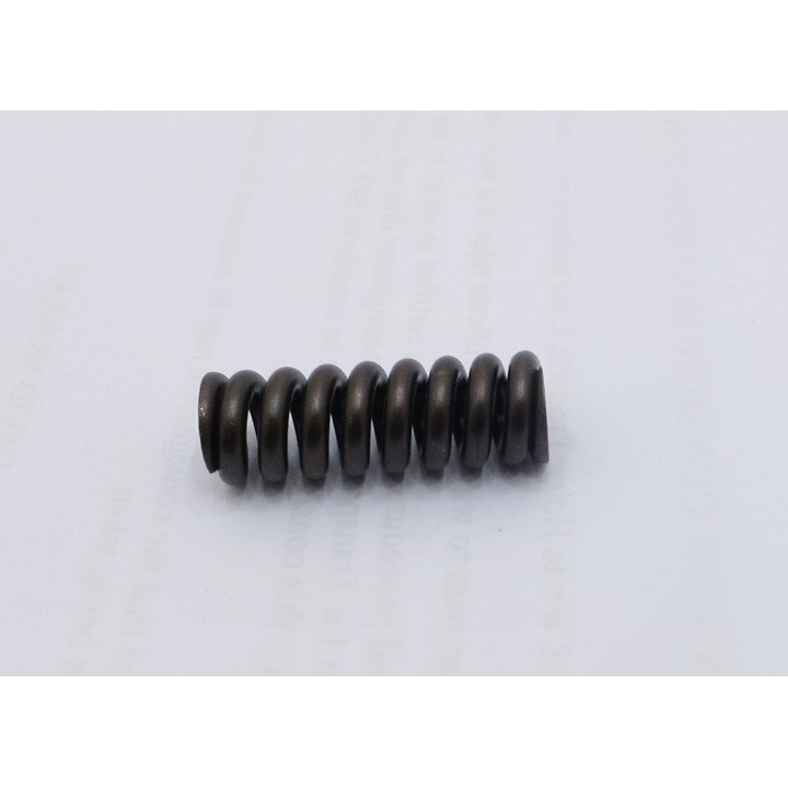 V10P PRIORITY HIGH PRESSURE SPRING