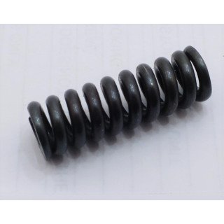V10P PRIORITY LOW PRESSURE SPRING