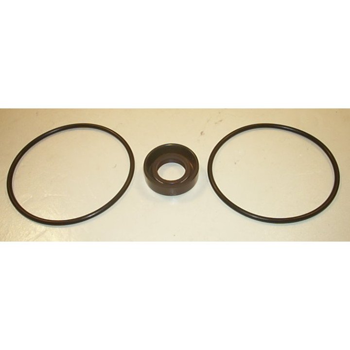 V2010  PUMP SEAL KIT 923577N