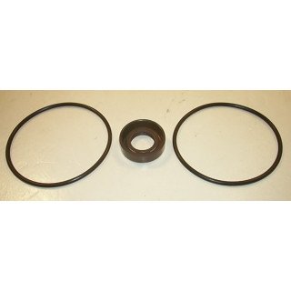 V20 VITON PUMP SEAL KIT  919805N