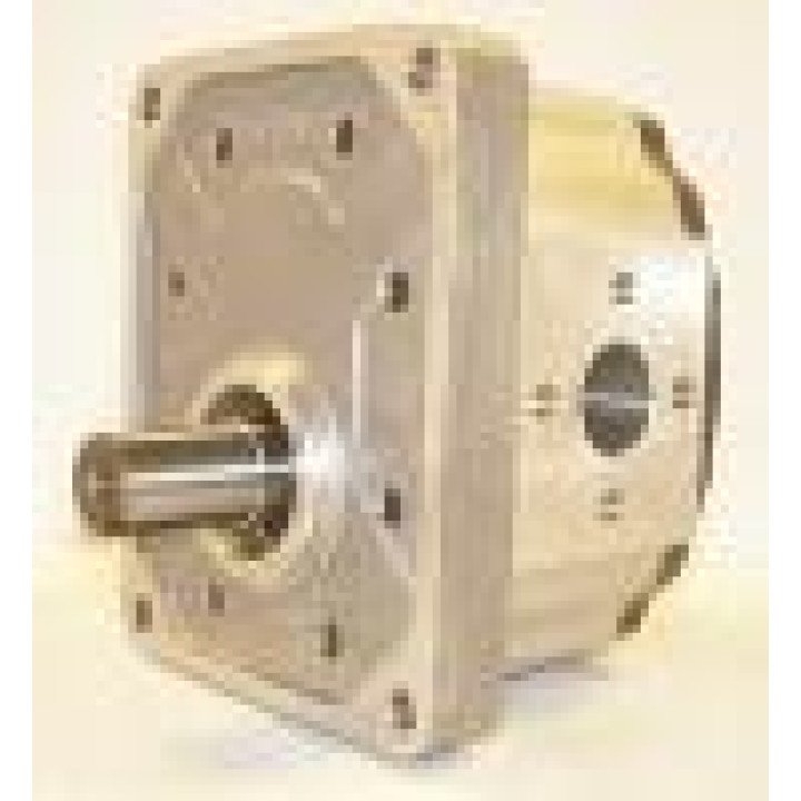 2PL050 APDFBN HYDRAULIC GEAR PUMP