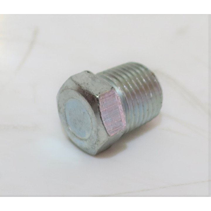 1/8 NPT BLANKING PLUG