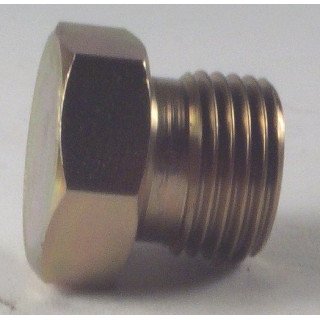 3/4 BSP BLANKING PLUG