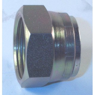 1'' BSP BLANKING CAPS