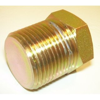 1'' BSP  T  BLANKING PLUG