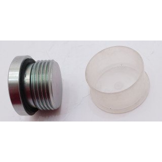 1'' BSP SOCKET HEAD BLANKING PLUG