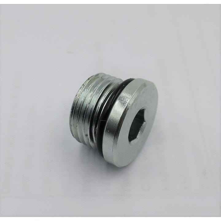 3/4 SORB SOCKET HEAD BLANKING PLUG