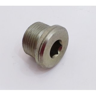 22 x 1.5 SOCKET HEAD BLANKING PLUG
