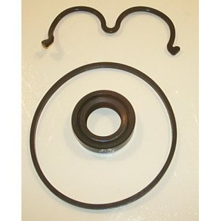 GP2 250 BAR SEAL KIT CAP20KIT