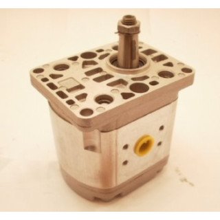 P1BAN2015HL10B02 HYDRAULIC PUMP **