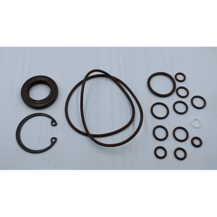MA10V018 VITON SEAL KIT