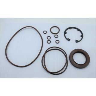 MA10V060 VITON SEAL KIT
