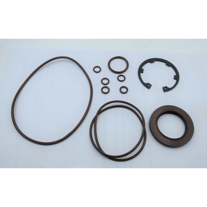 MA10V060 VITON SEAL KIT