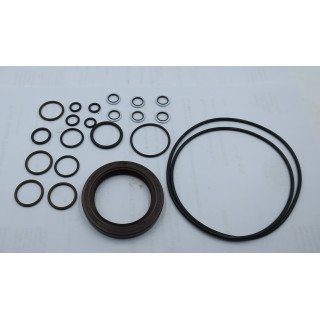 MA10V100 VITON SEAL KIT