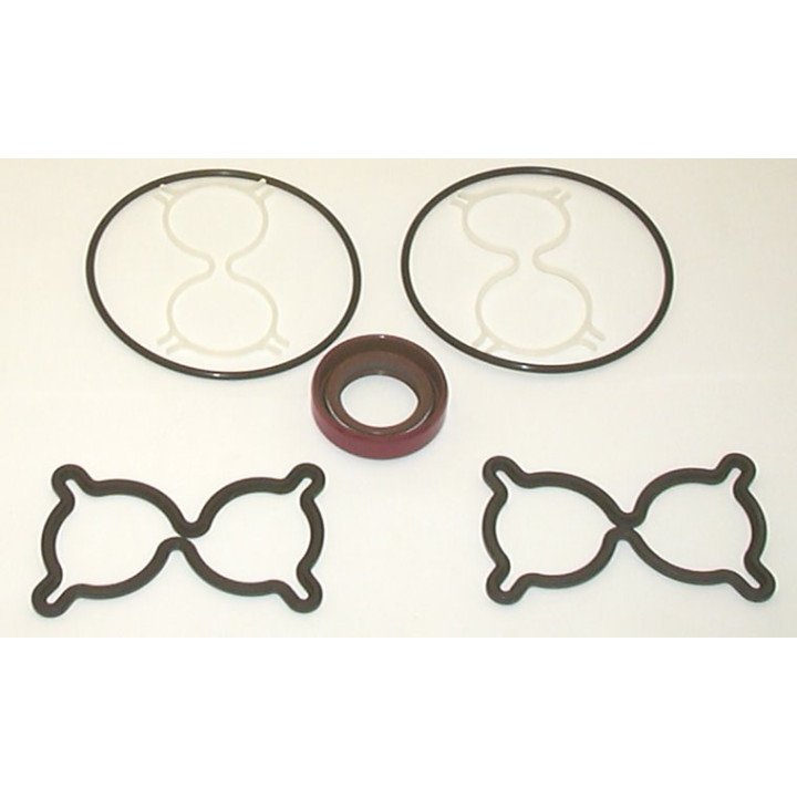 PGP505 SEAL KIT FOR M5A MOTOR