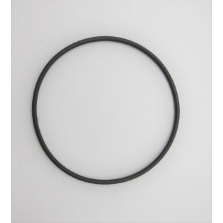 PGP505 VITON SECTION SEAL