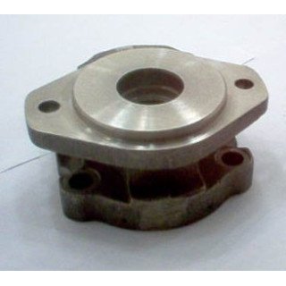 PGM620SAEA 2 BOLT FLANGE - CHECKS
