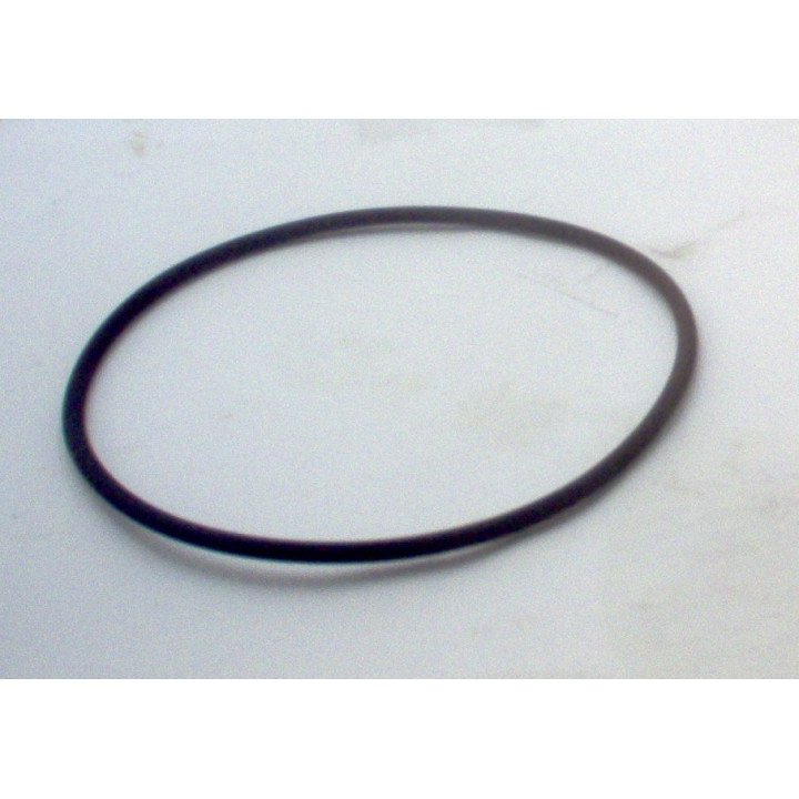 S4 FLUOROCARBON WEARPLATE SEAL