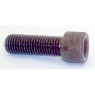 M20X2.5X60 LONG SOCKET HEAD CAP SCR