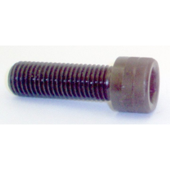M20X2.5X60 LONG SOCKET HEAD CAP SCR