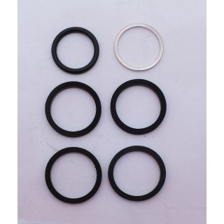 MF AUX/MULTI SEAL KIT (1D+1B)