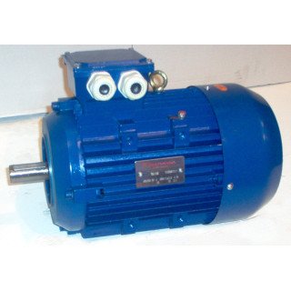 3 PHASE 2880RPM D112 B14  4.0KW