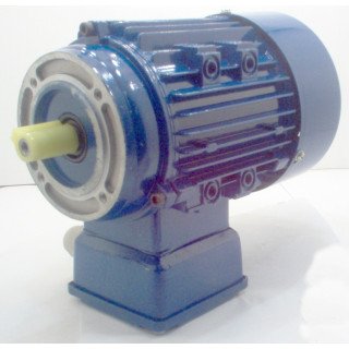 3 PHASE 2880RPM D71 B14  0.55KW