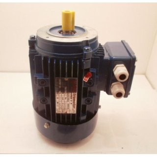 3 PHASE 2880RPM D80 B14  0.75KW