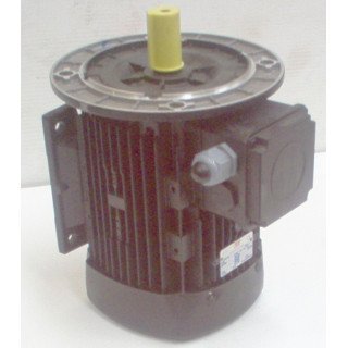 3 PHASE 1430RPM D100 F & F  2.2KW