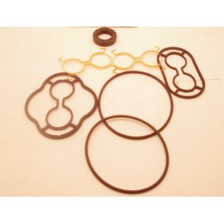 SNM2S ''LHBL''  MOTOR SEAL KIT