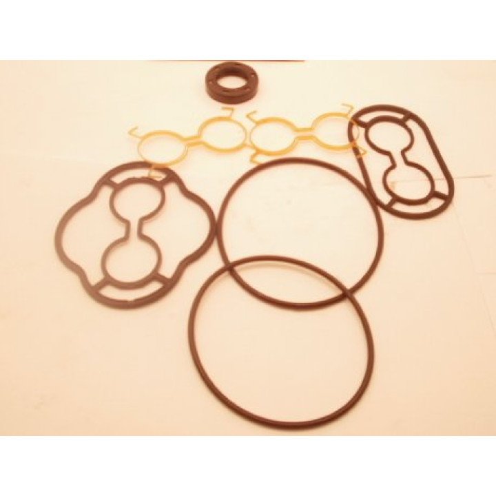 SNM2S ''LHBL''  MOTOR SEAL KIT