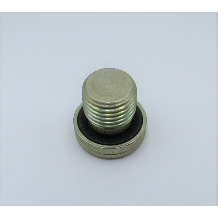 PLUG BLANKING 1/4'' BSP