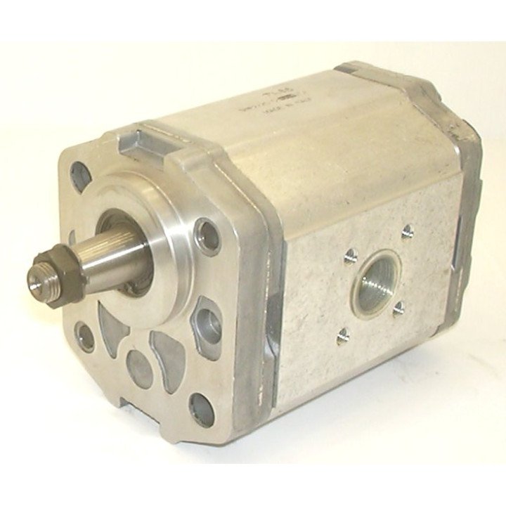 SNP2 A25L