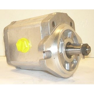 SNP2 C22L TSOB