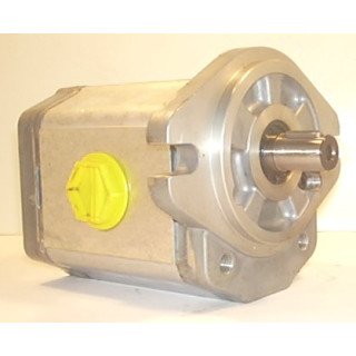 SNP2 C25L CI46