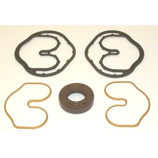 SNP1 01 VITON SEAL KIT