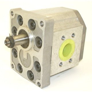 SNP3 A33L TXEB