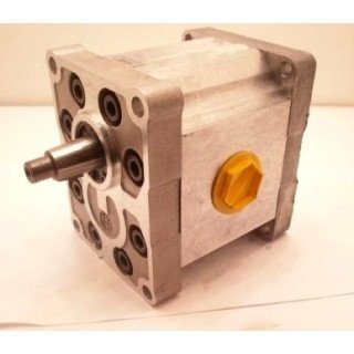 SNP3 A38L TXTA