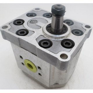 SNP3 C26L TXEB