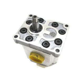 SNP3 C48L