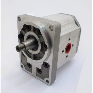 SNP3 C55L CO06