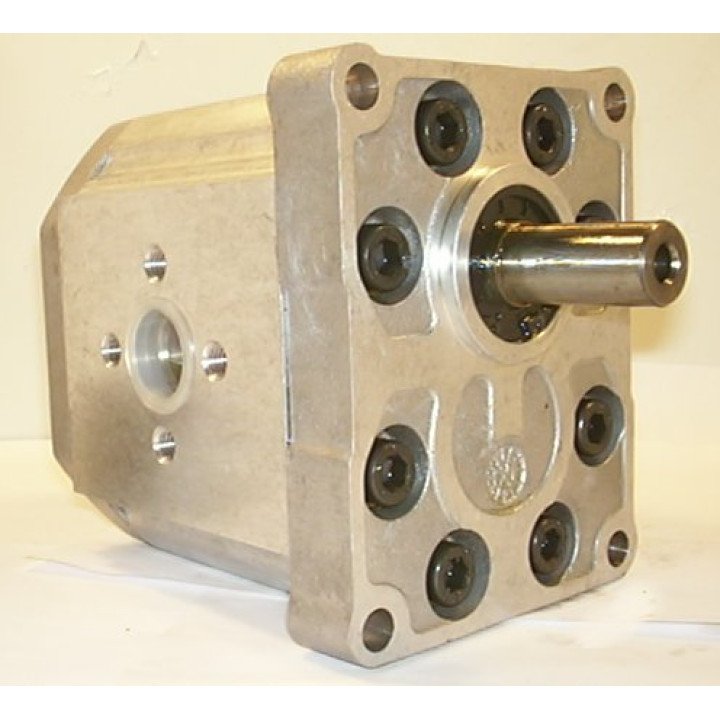 SNP3 C55L PSEB