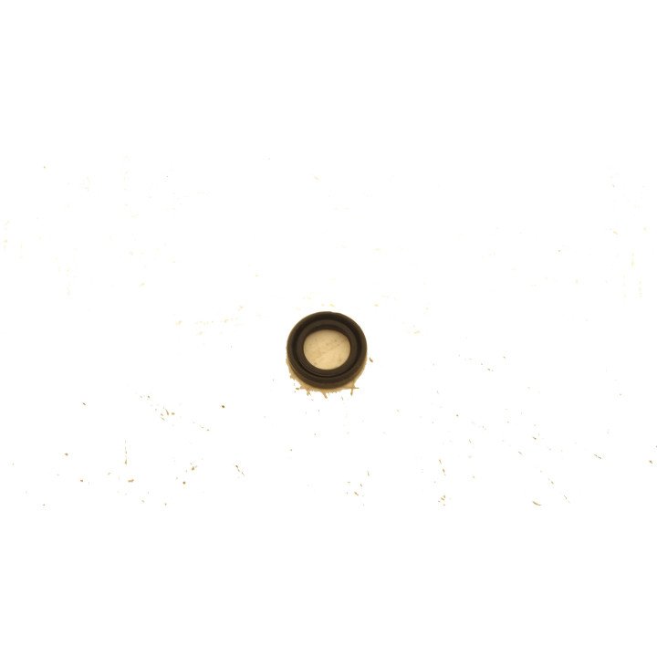 TFP 100 SC SHAFT SEALS